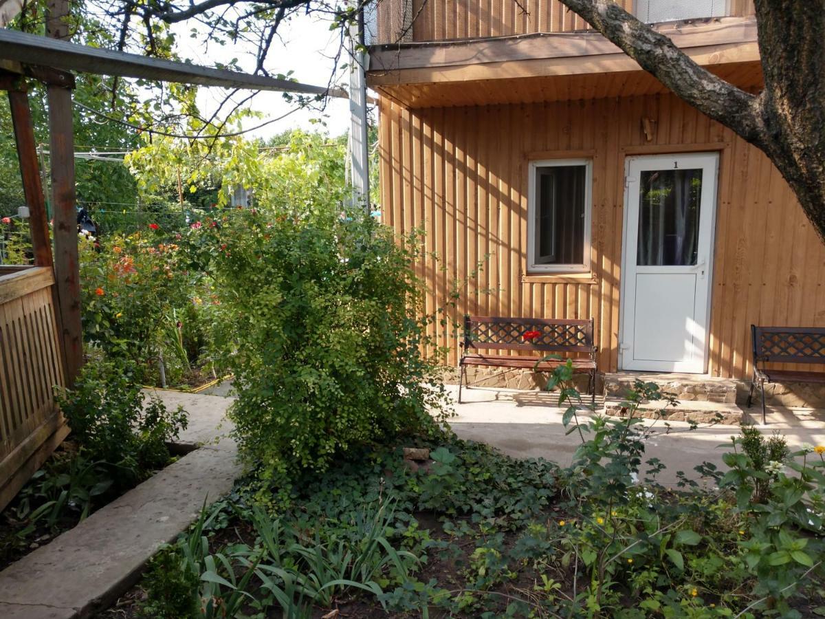 Private Odessa Apartment Kryzhanivka Exterior foto